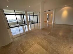 The Colonnade (D10), Condominium #460175471